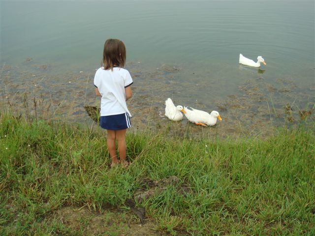 Girl with Ducks